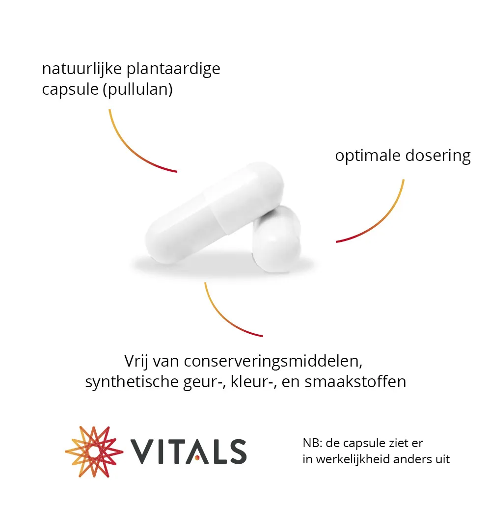 Vitals Berberine 500 mg (60 capsules) - image 5