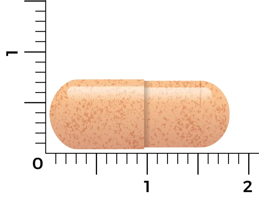 Vitakruid Saffraan 28 mg (Affron®) & Bioperine (60 vega capsules) - image 4