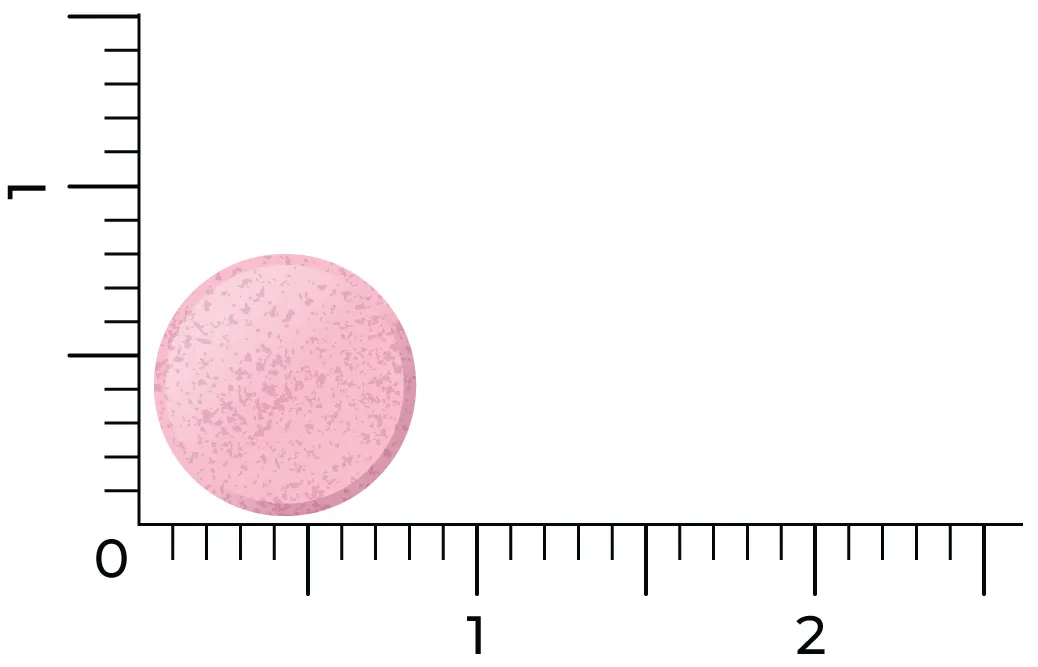 Vitakruid B12 Forte Plus® 3.000 met P-5-P Vitamine (60 tabletten) - image 3