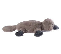 Warmies Vogelbekdier (1 stuk)