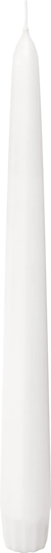 Bolsius Horeca Gotische Kaars 250/24 Doos 30 Wit (30 stuks)