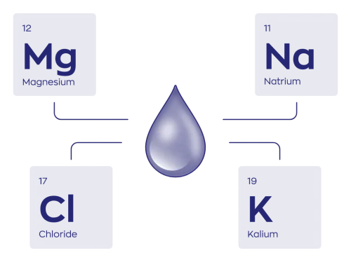 Vitakruid Elite Post Workout Man BCAA 4:1:1 & Elektrolyten (360 gr) - image 7