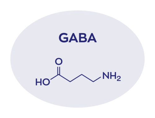 Vitakruid Elite Post Workout Vrouw BCAA 4:1:1 & Elektrolyten (325 gr) - image 8