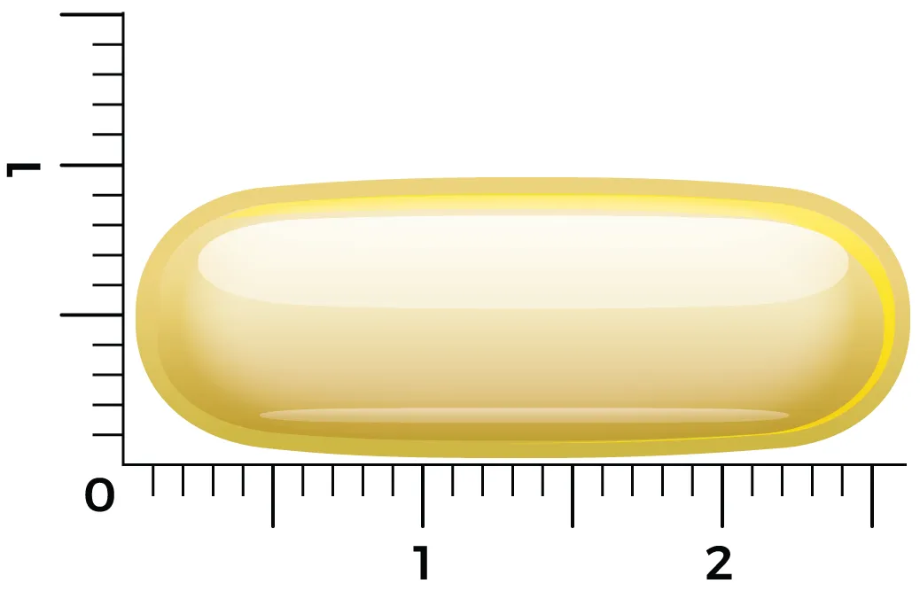 Vitakruid Visolie 1400 TG® Triglyceriden met D3 (30 softgels) - image 2