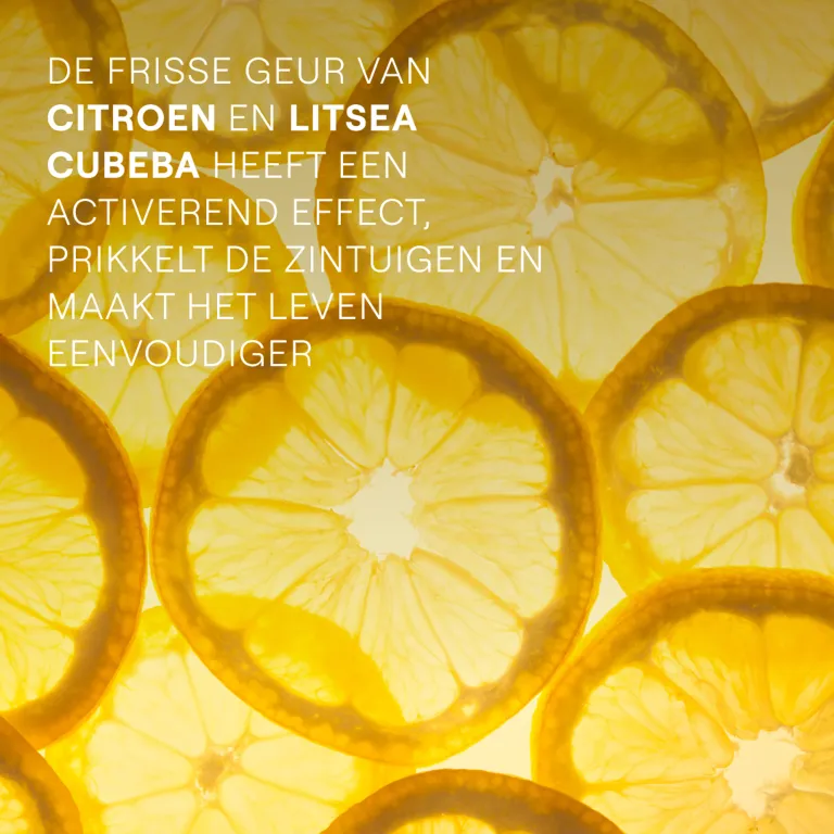 Weleda Refresh Douchecreme Citrus (400 ml) - image 2