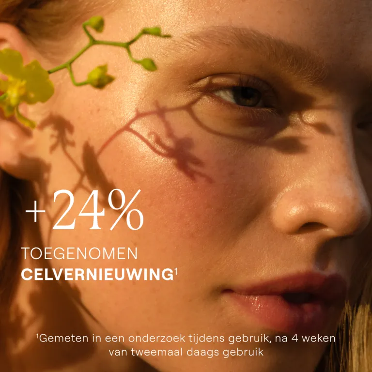 WELEDA Skin Food Nachtcreme (40 ml) - image 3