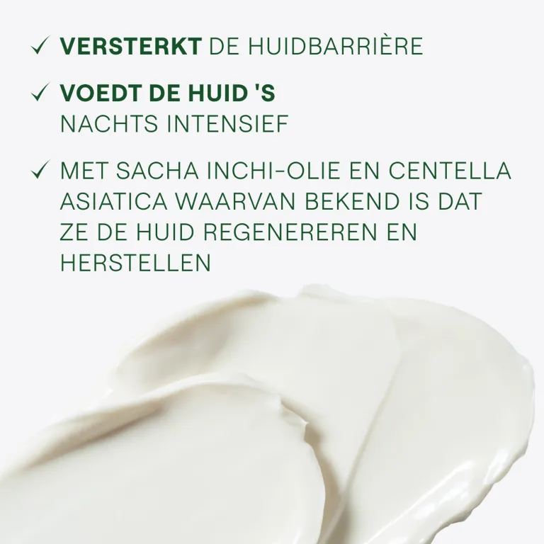 WELEDA Skin Food Nachtcreme (40 ml) - image 6