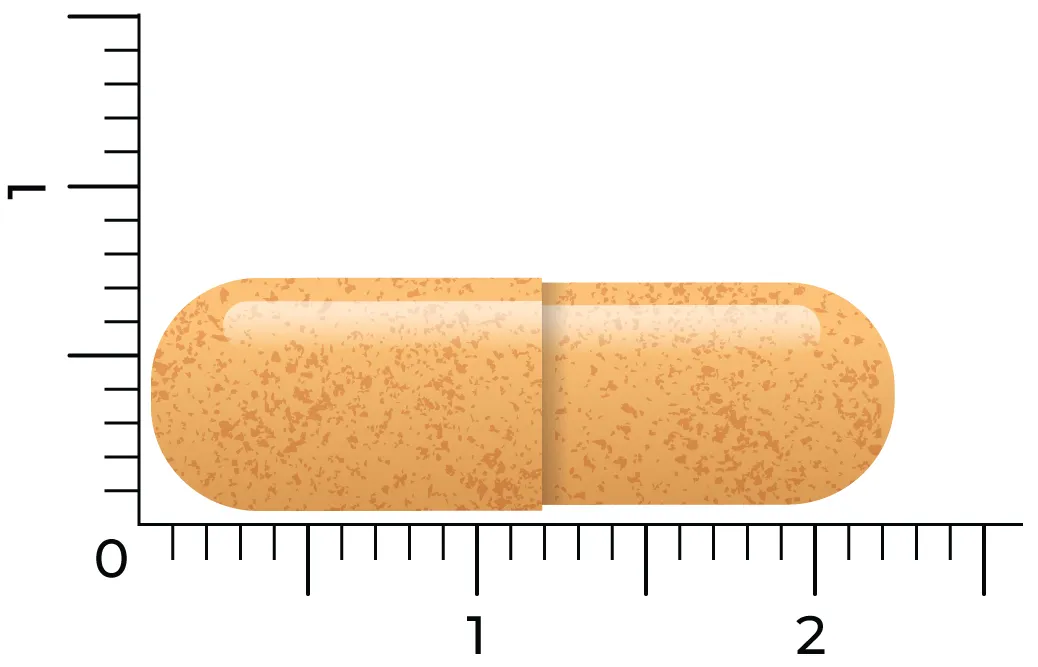 Vitakruid Curcuma C3-2X (95% Curcuminoïden) met Bioperine® (30 vega capsules) - image 4