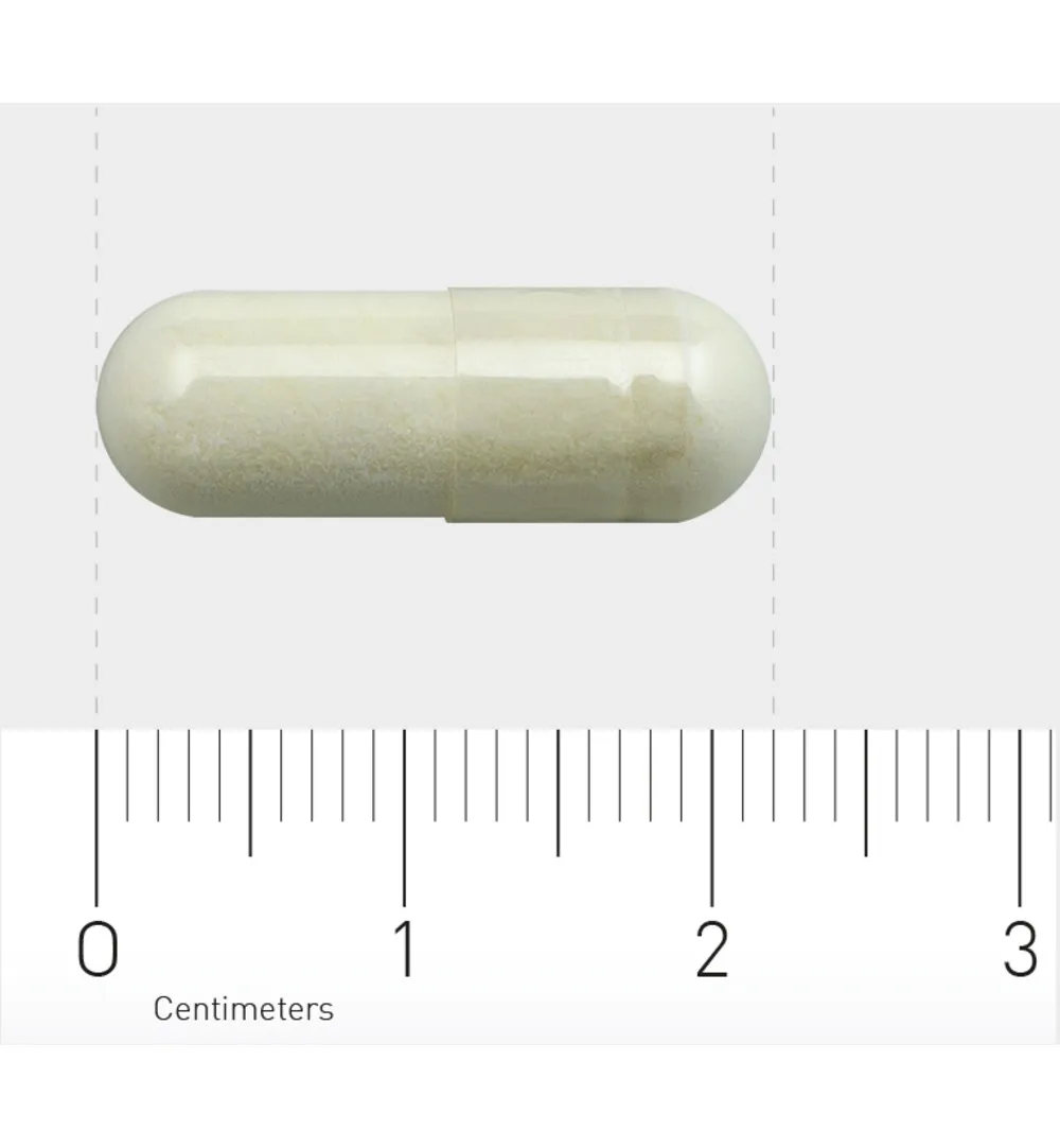 Orthica Alfa Liponzuur (60 capsules) - image 3