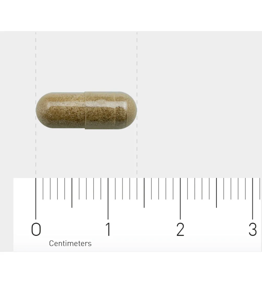 Orthica Weerstand kuur (30 capsules) - image 3