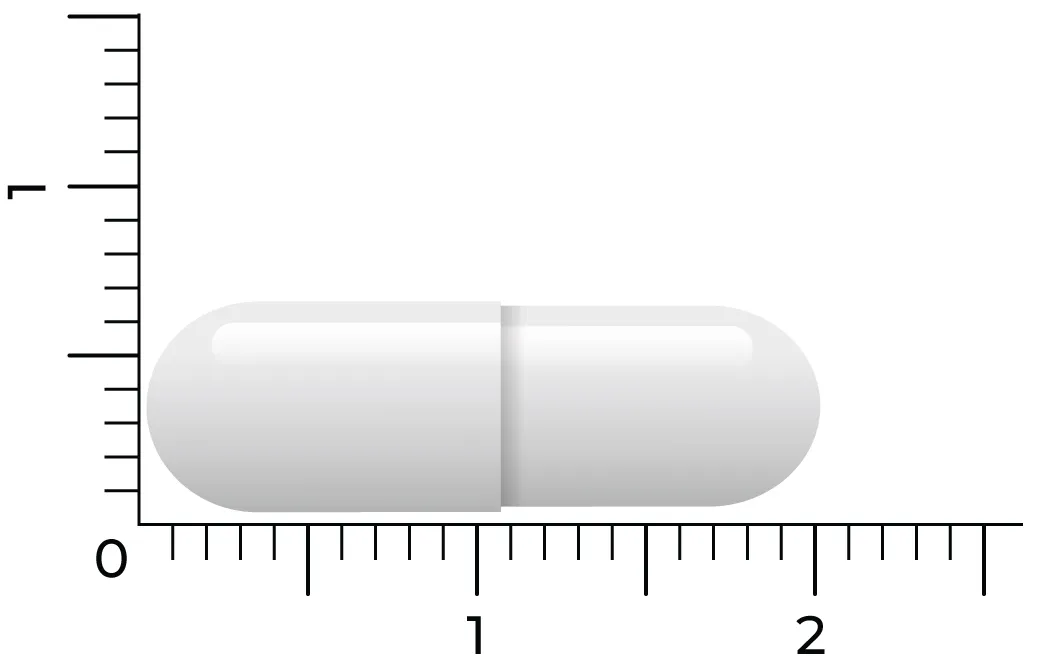 Vitakruid Zink Methionine & Koper Gluconaat (90 vega capsules) - image 2
