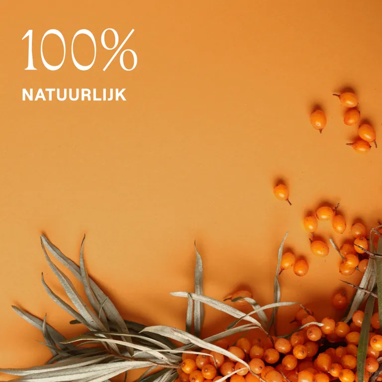 WELEDA Duindoorn vitaliserende douchecreme (200 ml) - image 3