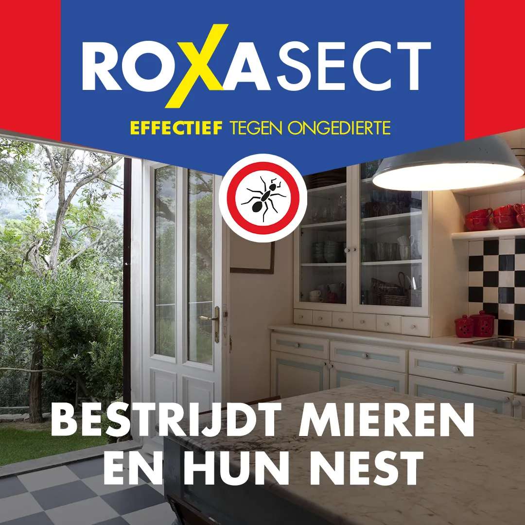 Roxasect Anti Mierenpoeder (75 gr)