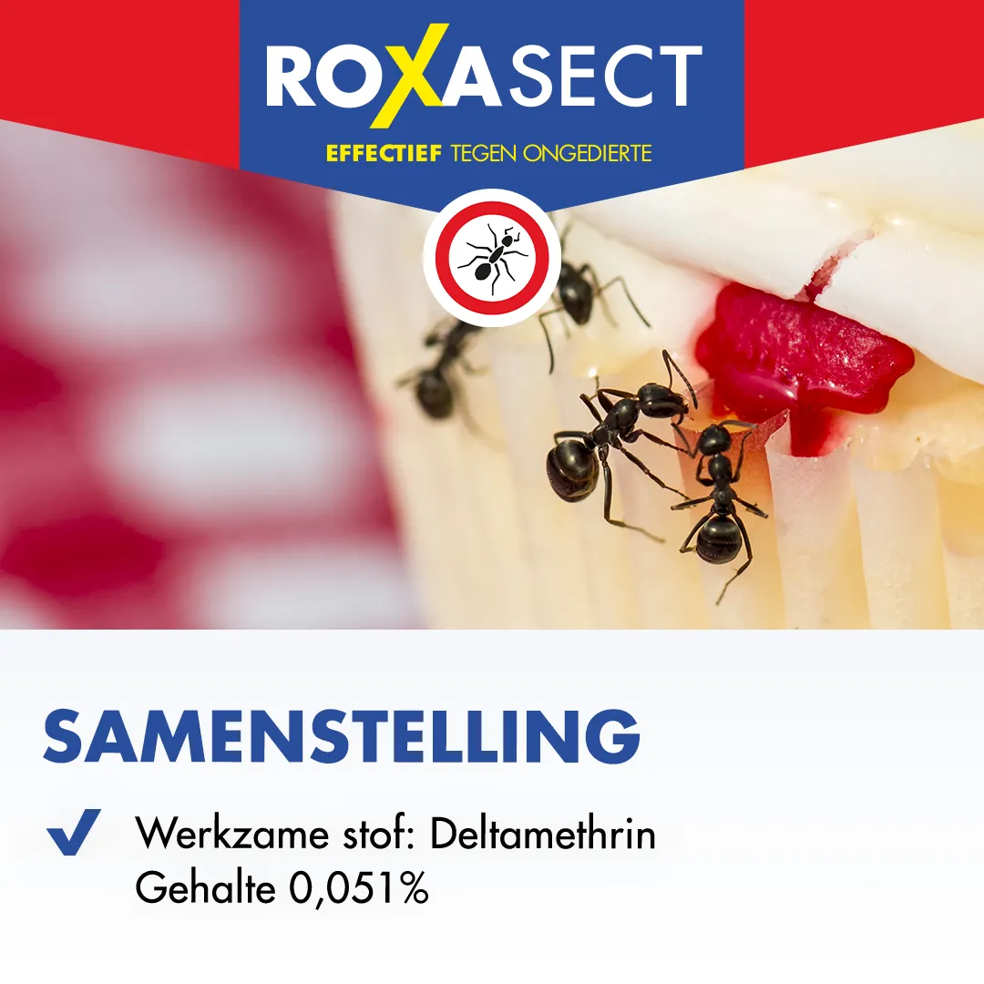 Roxasect Anti Mierenpoeder (75 gr) - image 3