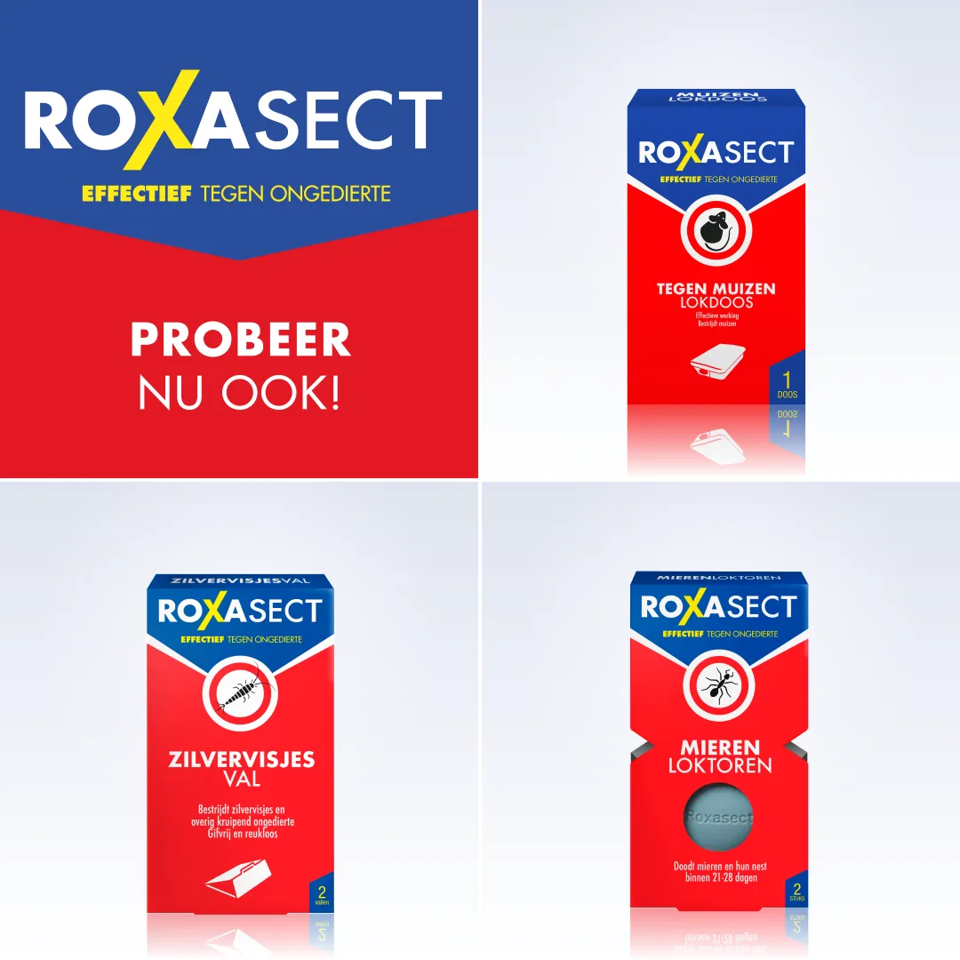 Roxasect Anti Mierenpoeder (75 gr) - image 5