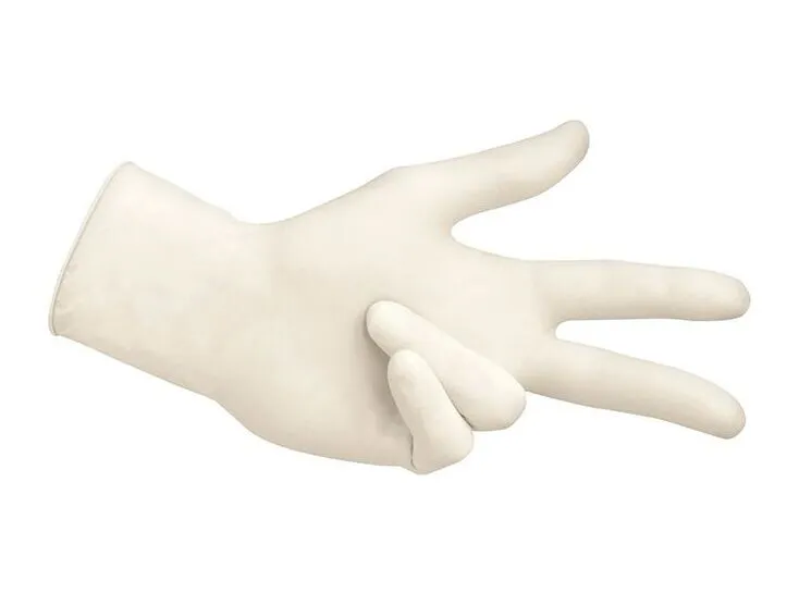 Lohmann & Rauscher Ambidextrous Handschoenen (100 stuks)