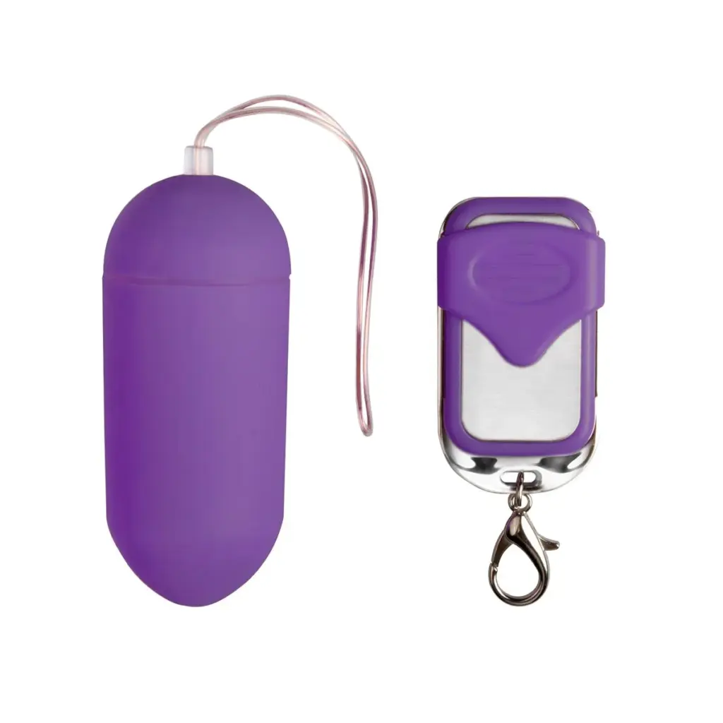 Easytoys Mini Vibe Collection - Vibrating Egg with Remote Control Paars (1 stuk)