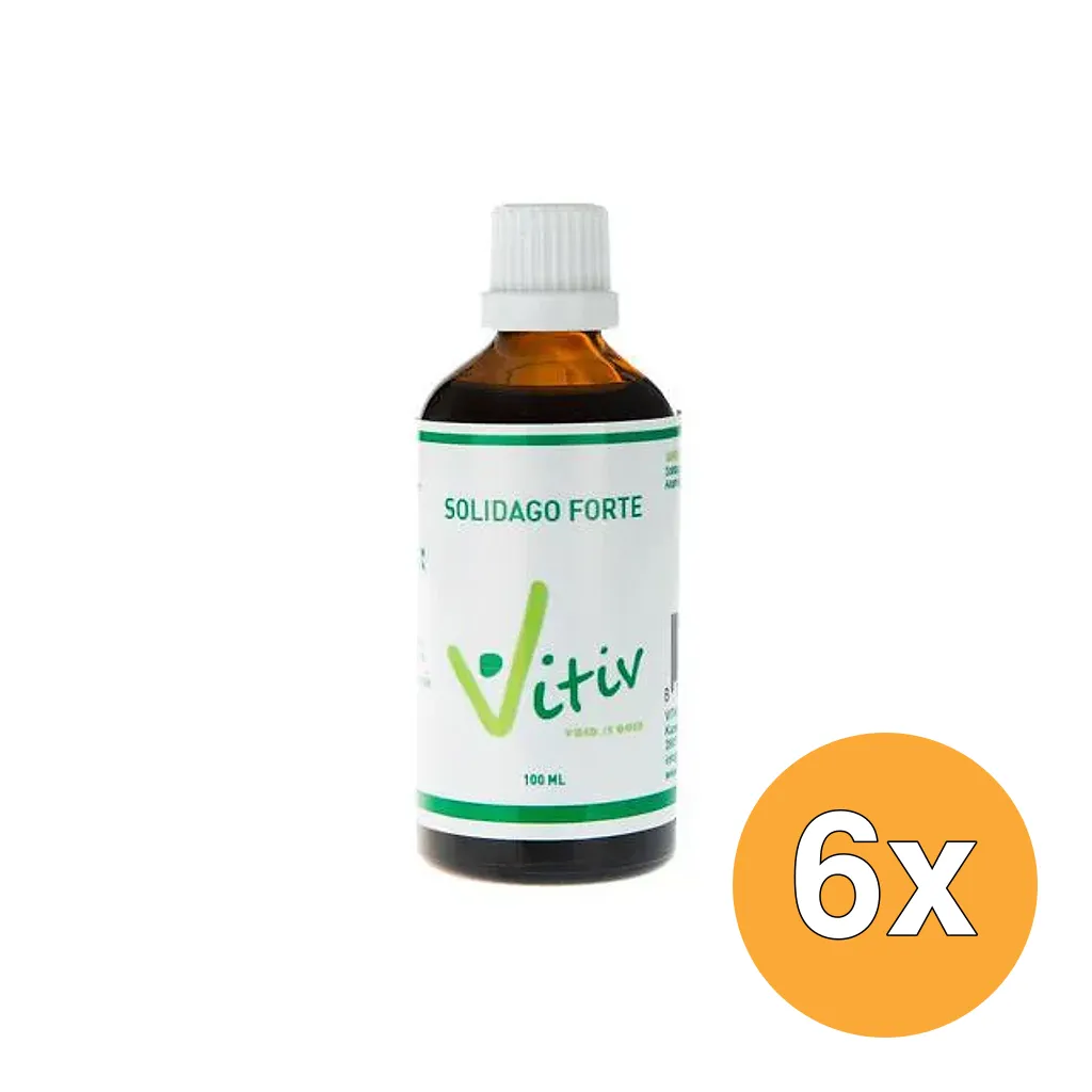 6x Vitiv Solidago Forte (100 ml)