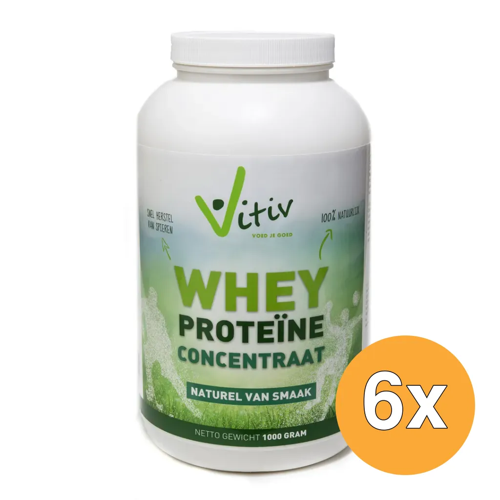 6x Vitiv Whey Proteine Concentrate 80% (1000 gr)