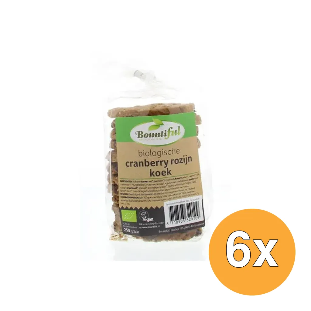6x Bountiful Cranberry rozijnkoek bio (250 gr)
