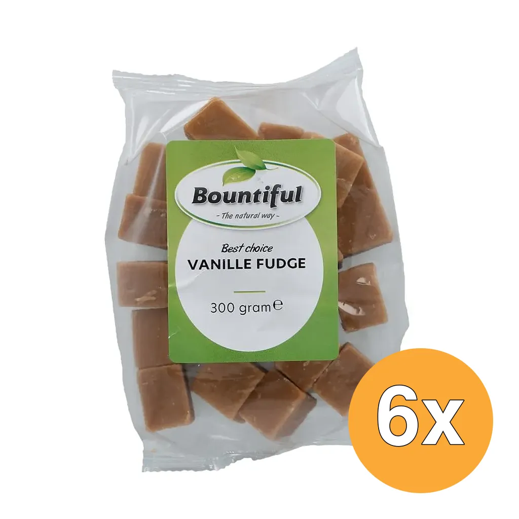 6x Bountiful Fudge Vanille (300 gr)