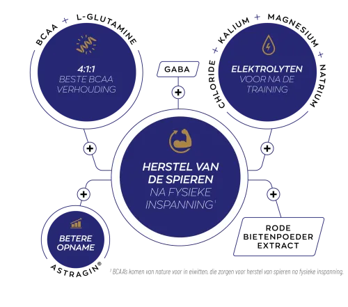 Vitakruid Elite Post Workout Man BCAA 4:1:1 & Elektrolyten (360 gr) - image 4