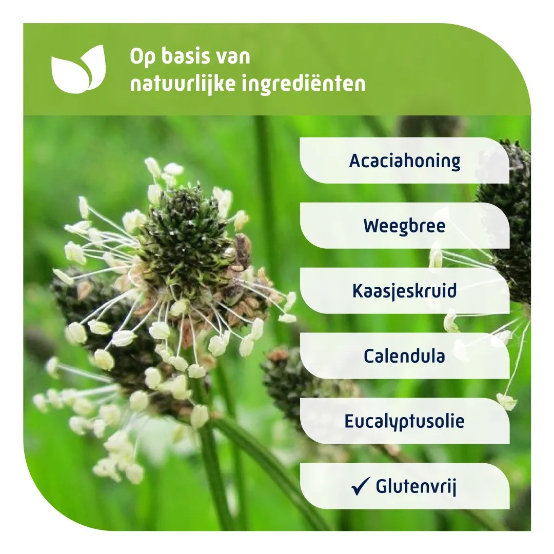 Natterman Voor alle hoest (180 ml) - image 3