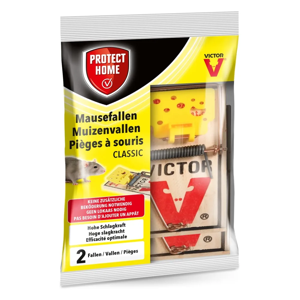 Protect Home Muizenvallen (2 stuks)