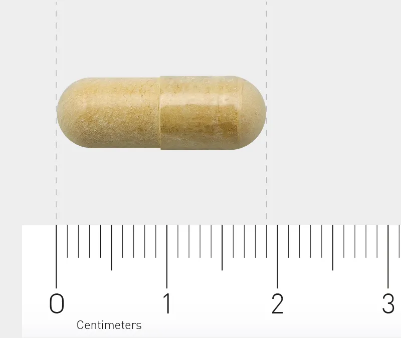 Orthica Silymarin-180 (90 vega capsules) - image 3