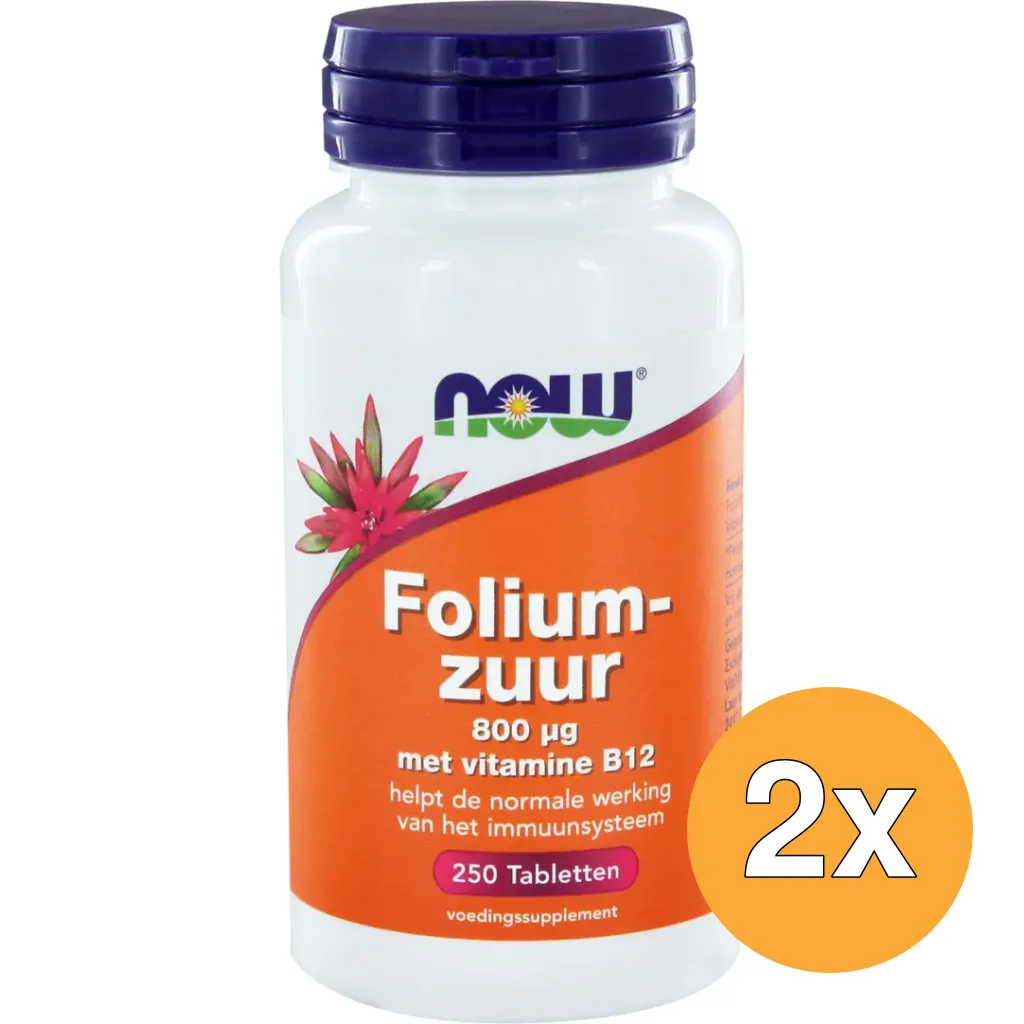 2x Now Foliumzuur 800 mcg (250 tabletten)