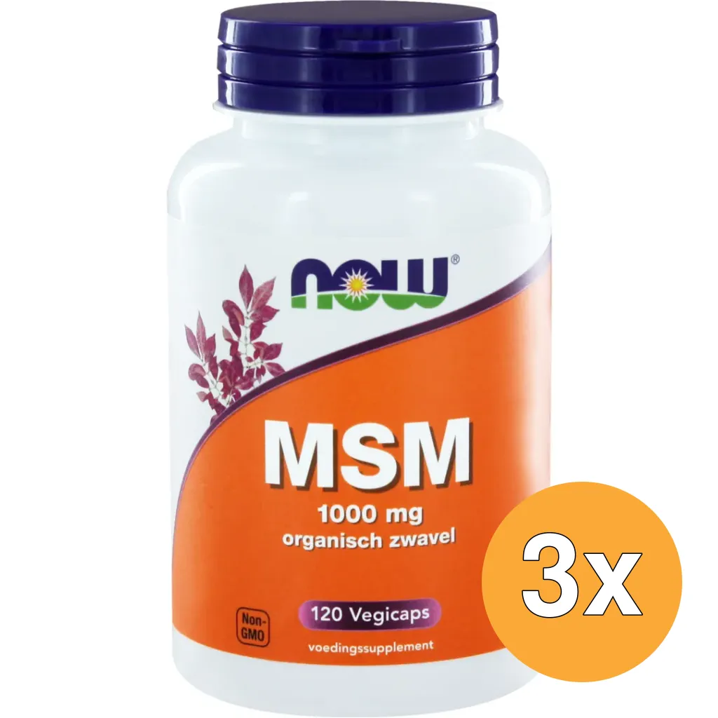 3x Now Msm 1000 Mg (120 vega capsules)