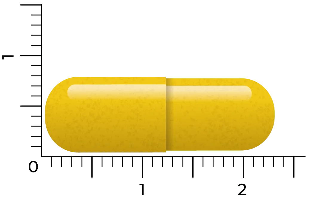 Vitakruid Berberine 500 Rebersa® 97-102% Berberine Zouten (60 vega capsules) - image 3