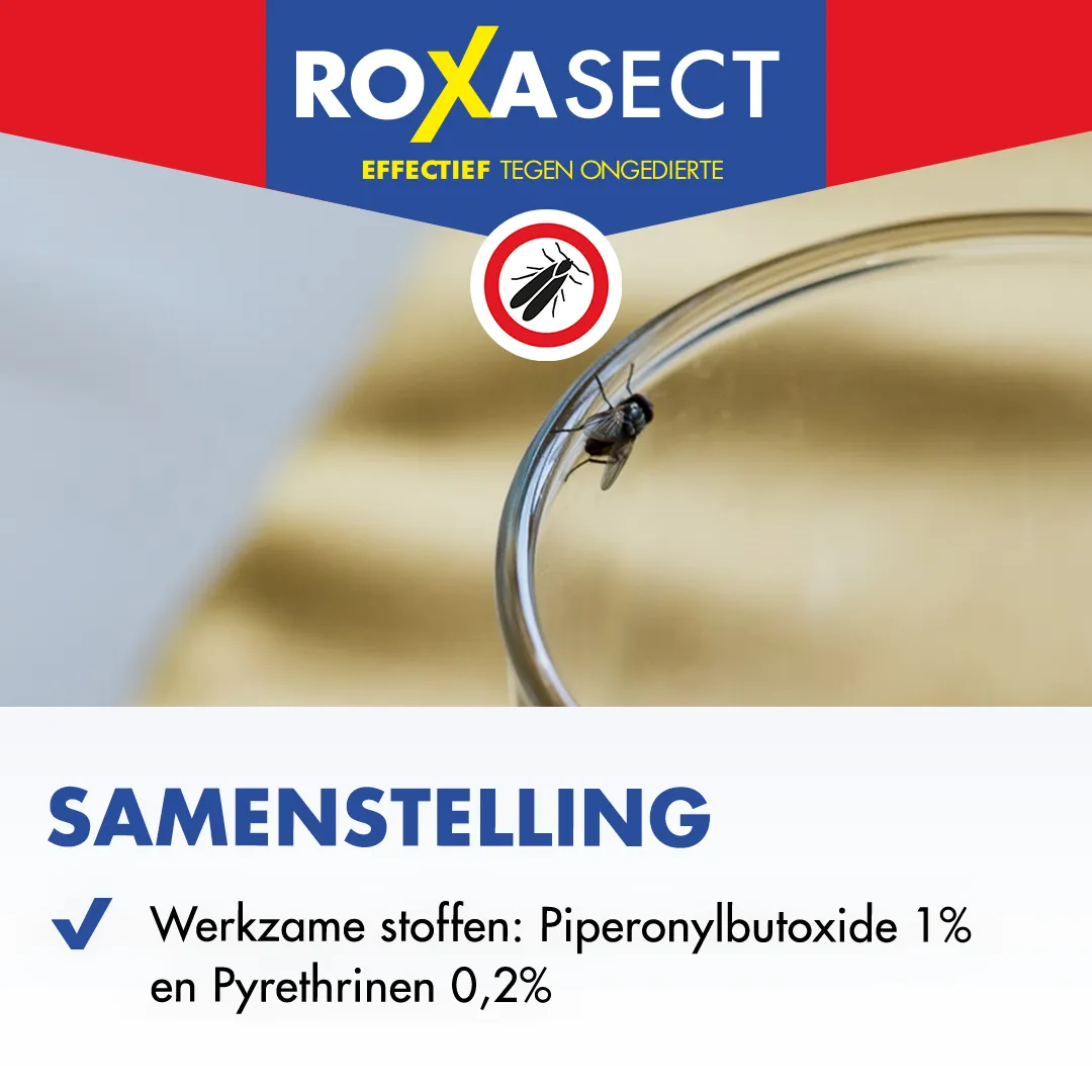 Roxasect Spuitbus vliegende insecten (400 ml) - image 4