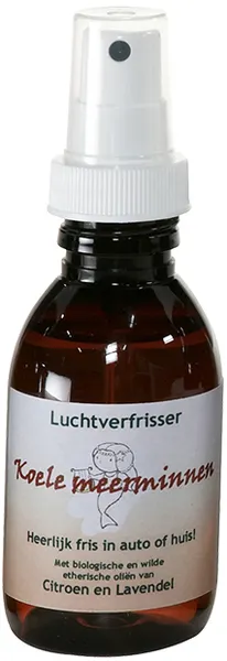 Verillis Luchtverfrisser Koele Meermin (110 ml)