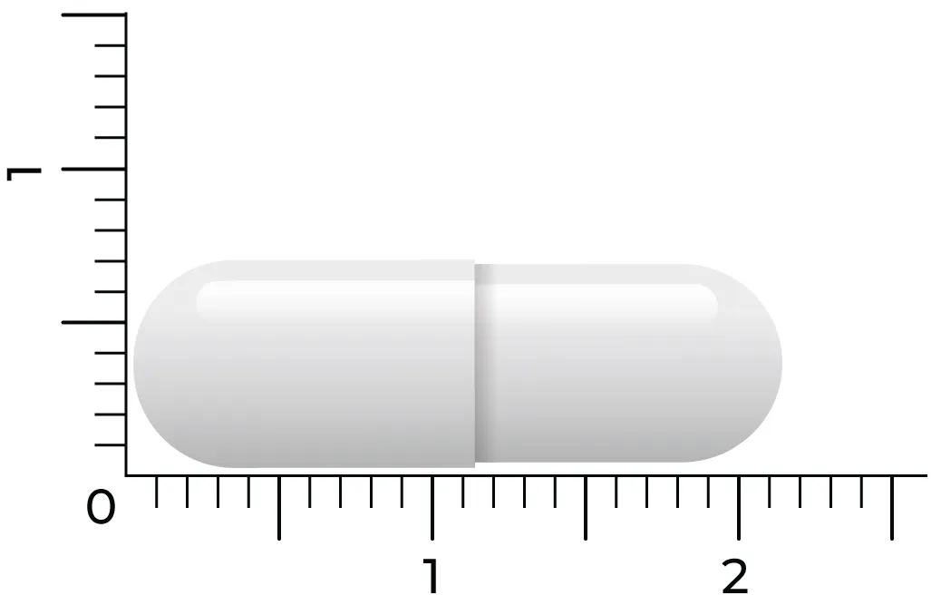 Vitakruid PEA Puur 400 Optipea® Palmitoylethanolamide (60 vega capsules) - image 4