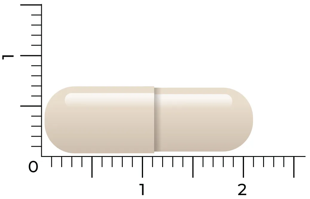 Vitakruid Groenlipmossel Extract & Ovomet Eierschaalmembraam (90 vega capsules) - image 4
