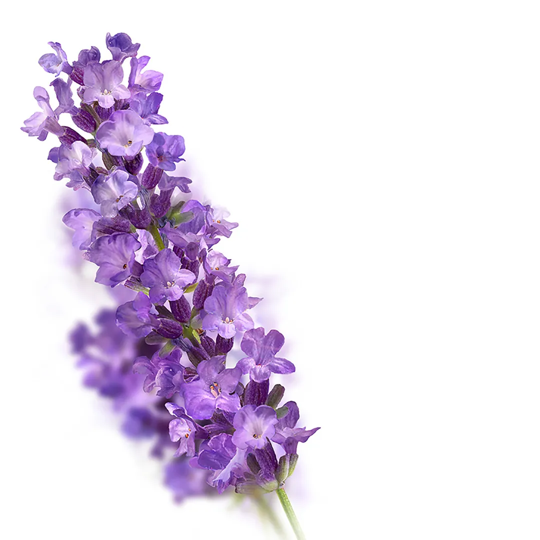 Kneipp Badkristal relaxing lavender (600 gr) - image 3