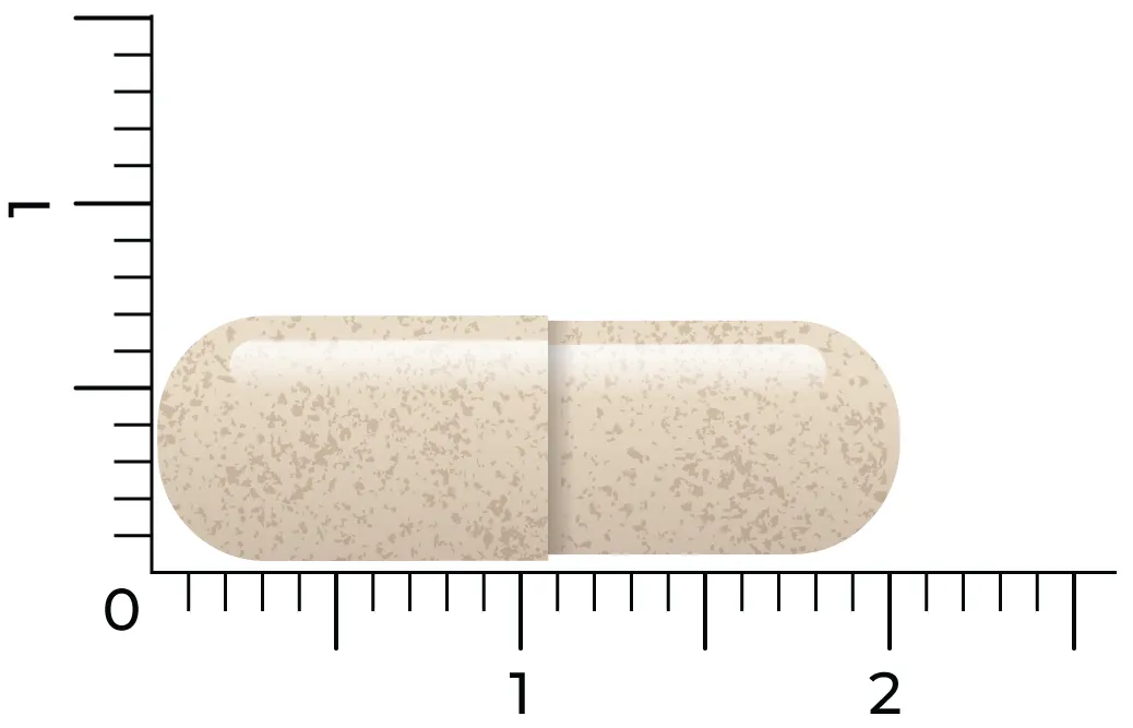Vitakruid Ashwagandha 5% Withanoliden KSM-66® & Bioperine® (90 vega capsules) - image 3