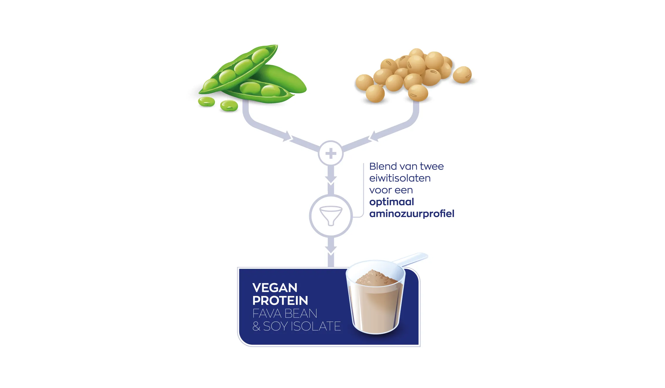 Vegan Protein EverPro™ & Fava Bean (921 gr) - image 4