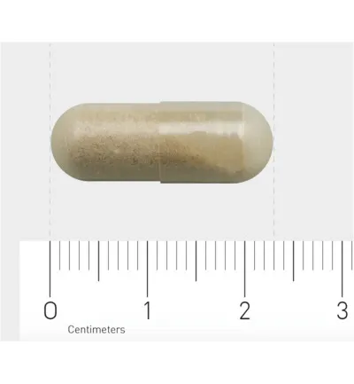 AOV 313 Vitamine C 500 (90 vega capsules) - image 3