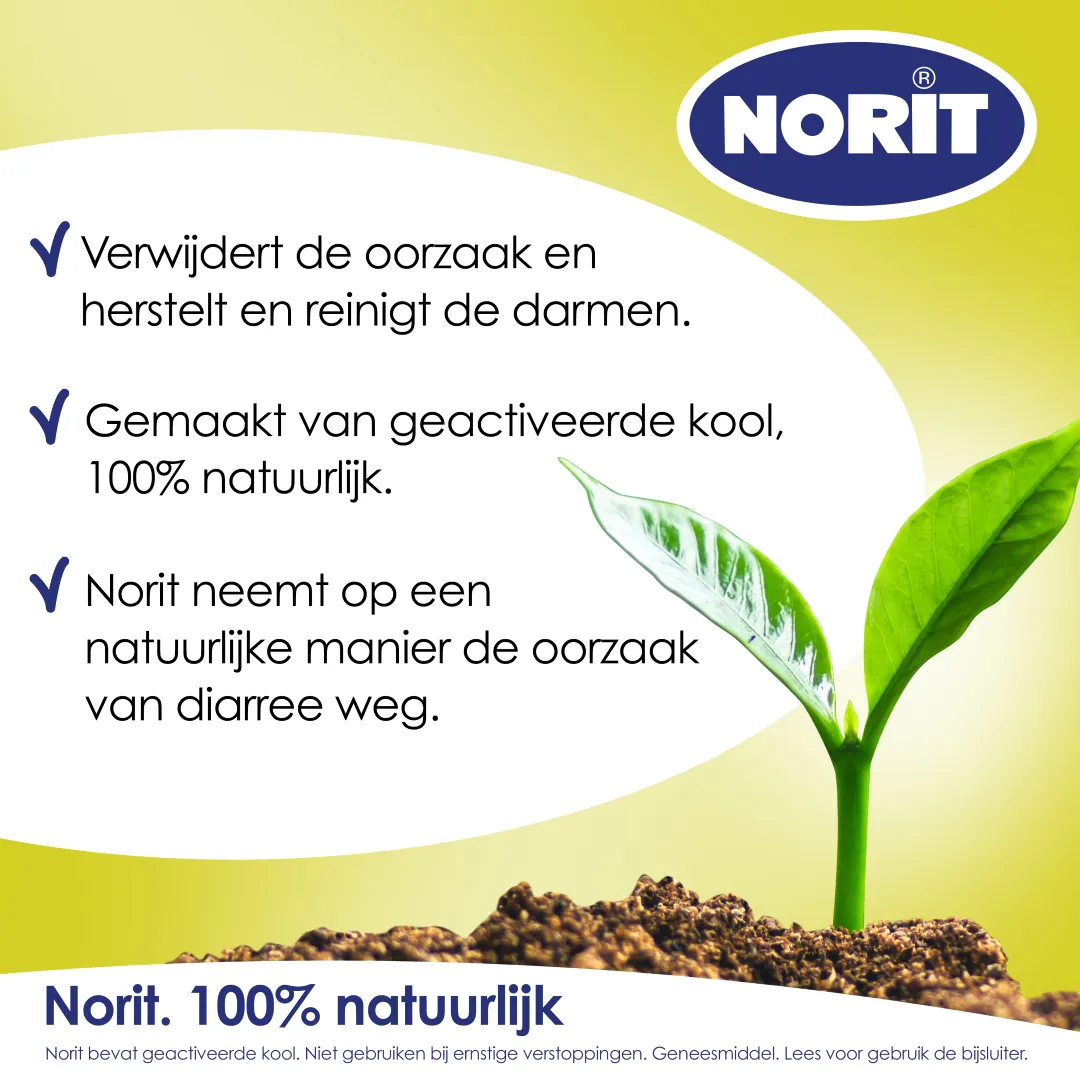 Norit 125mg (180 tabletten) - image 2
