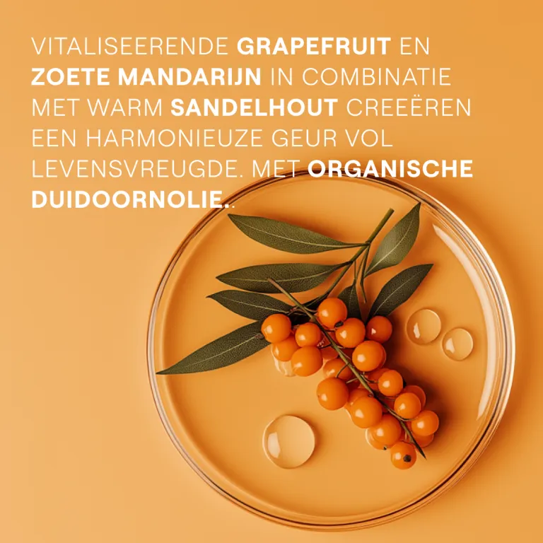 WELEDA Duindoorn vitaliserende douchecreme (200 ml) - image 2