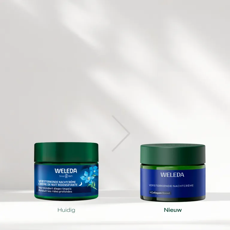 WELEDA Blauwe Gentiaan & Edelweiss versterkende nachtcreme (40 ml) - image 3