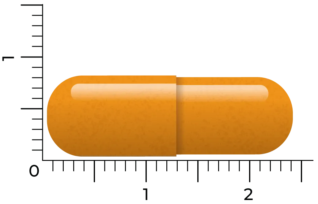 Vitakruid Groene Thee & Bioperine® >50% EGCG >80% Catechines (60 vega capsules) - image 4