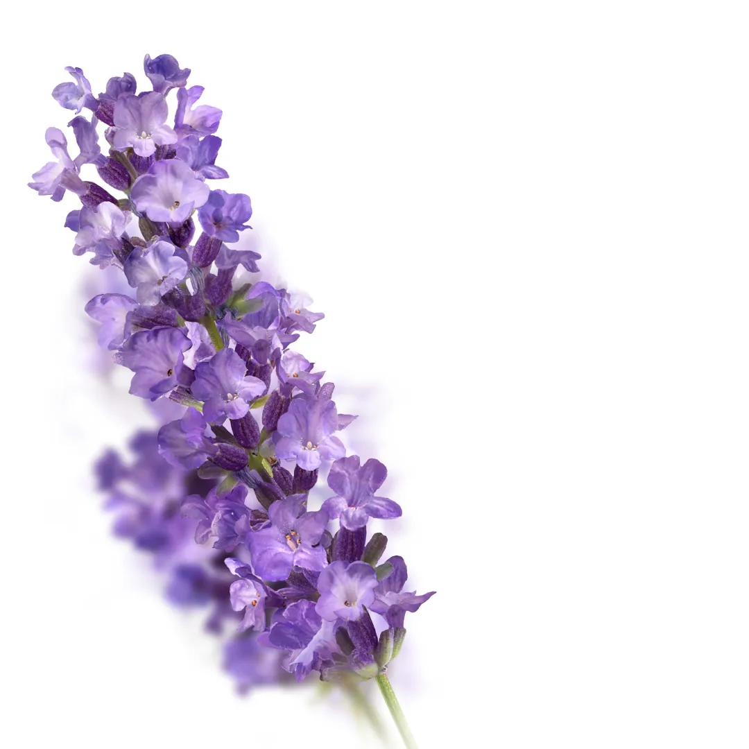 Kneipp Badbruistablet lavendel (80 gr) - image 2