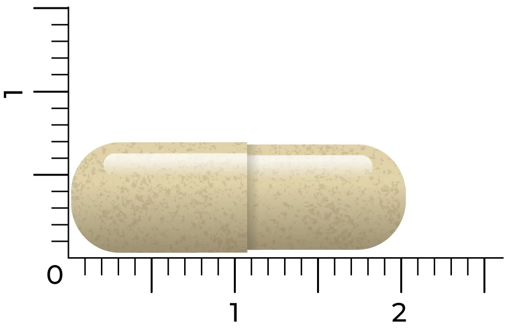 Vitakruid Saffraan 28 mg (Affron®) & L-Theanine Groene Thee (90 vega capsules) - image 3