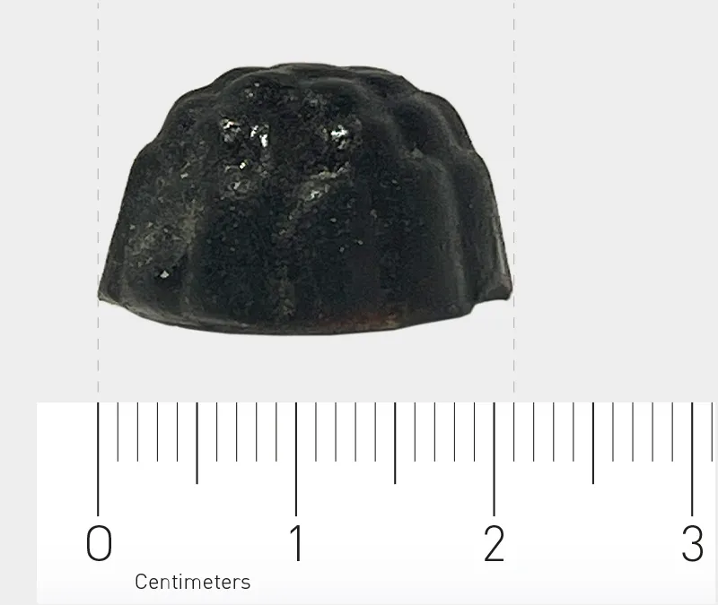 Orthica Dino Weerstand Gummies (60 stuks) - image 3