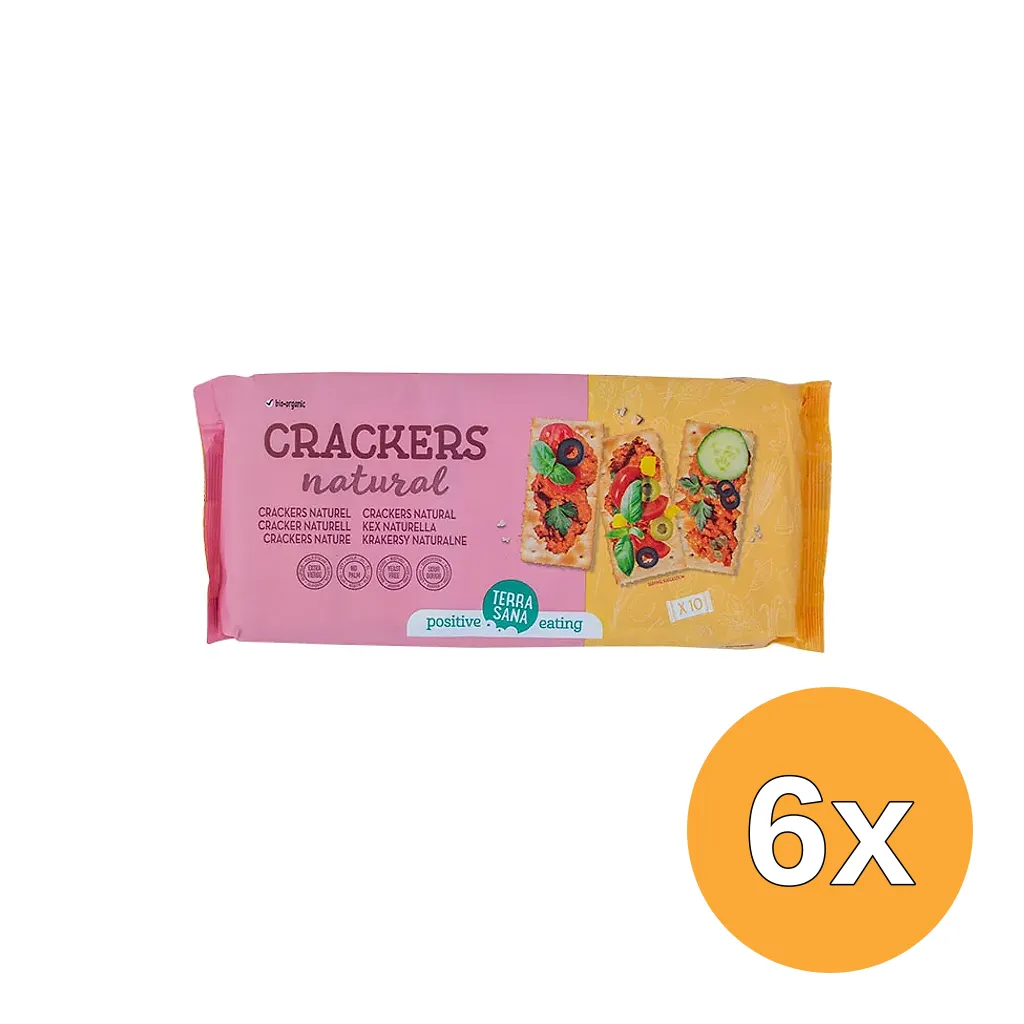6x Terrasana Crackers Naturel Bio (300 gr)