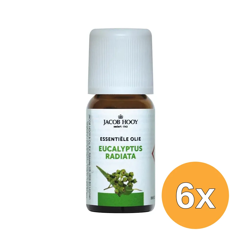 6x Jacob Hooy Eucalyptus radiata olie (10 ml)