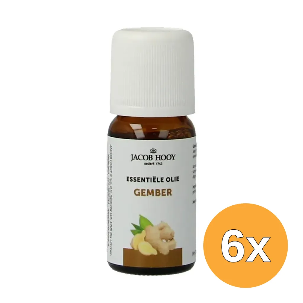 6x Jacob Hooy Gember olie (10 ml)
